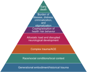 Adverse Childhood Experiences: The Hidden Public Health Crisis